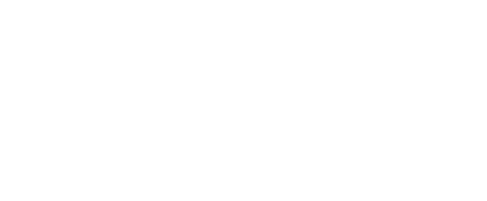logo-pp-white